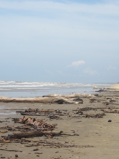 IMG_0683.JPG